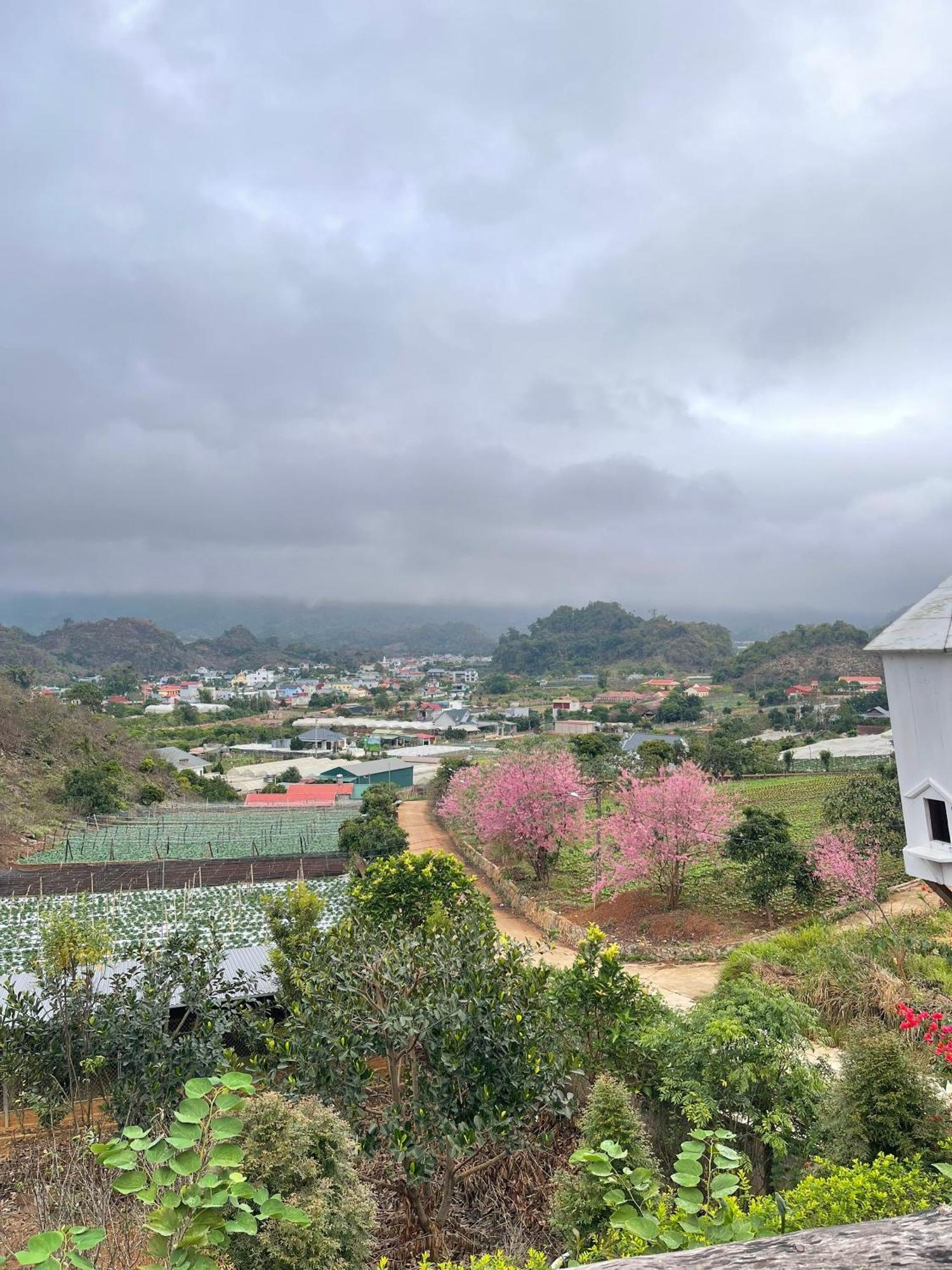 Doi Thong Homestay Moc Chau - By Bay Luxury Son La Ngoại thất bức ảnh